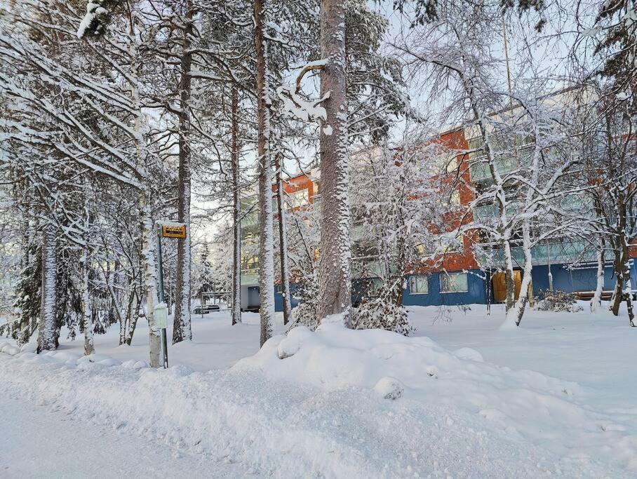 Spacious Apartment With Balcony And Free Wifi Rovaniemi Luaran gambar